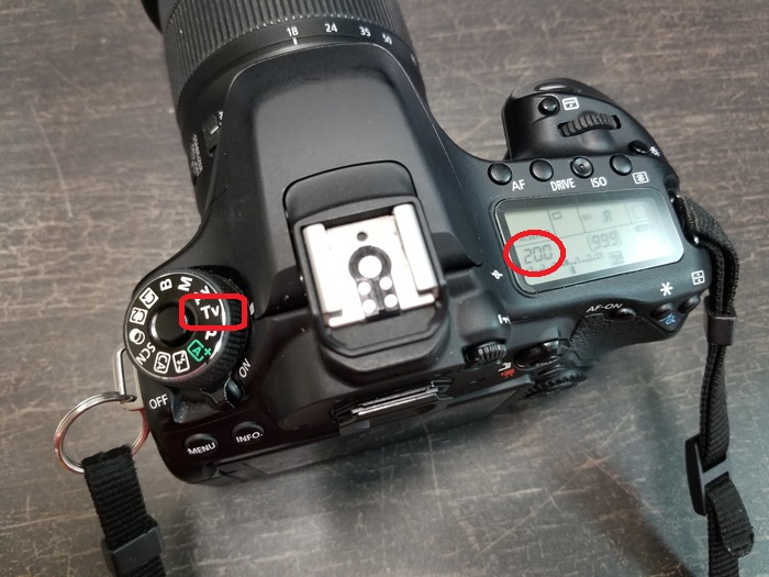 一眼レフで超素早い被写体を撮るときにオススメの設定 Canon Eos 80d